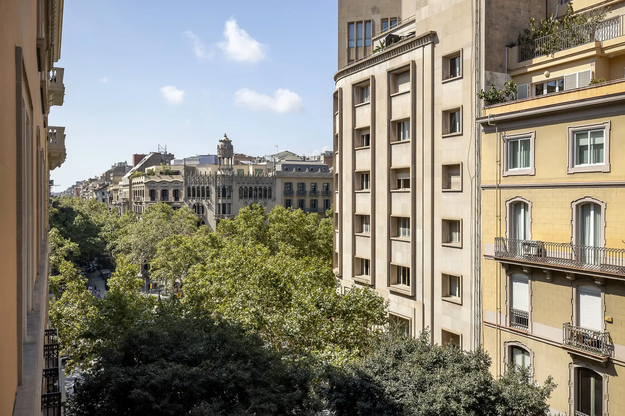 The Consell Noble